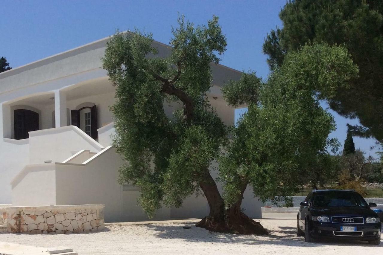 Villa Marietta Cisternino Dış mekan fotoğraf